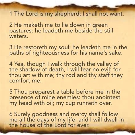psalm 23 message translation